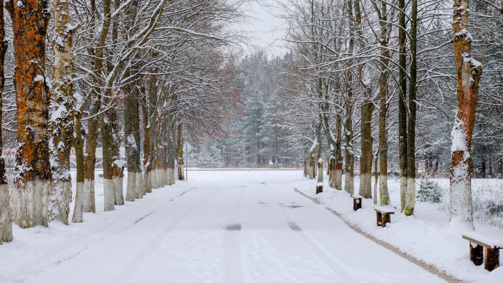 5 Best places to witness snow in Uttarakhand