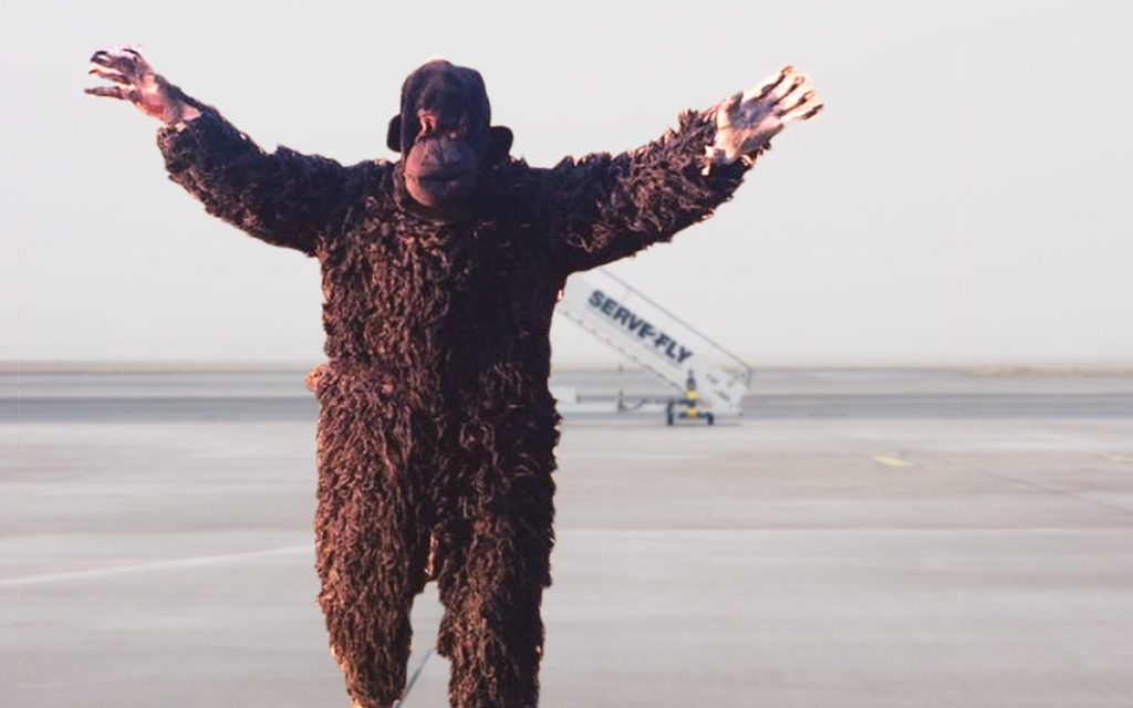 Watch: Airport Staff Dress As Bear To Scare Away Langurs in Ahmedabad