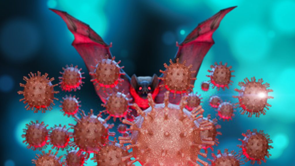 Presence of ‘Bat Coronavirus’ Found in Two Indian Bat Species
