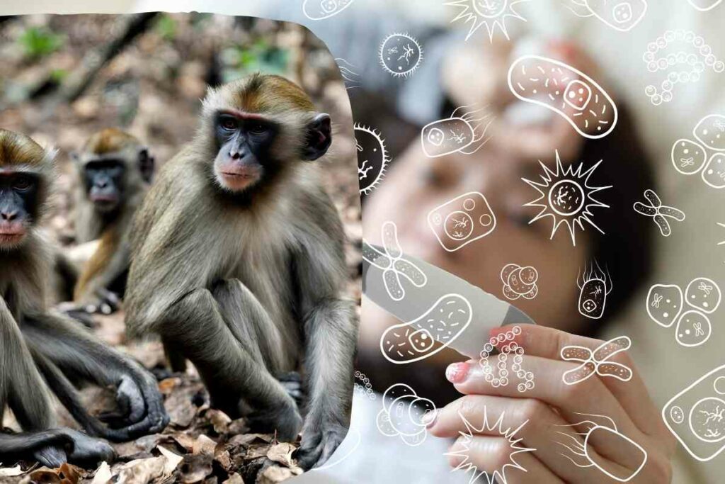Kyasanur Forest disease: a Viral Hemorrhagic Fever that has been known in India for the Last 60 Years